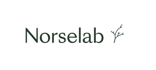 Norselab_logo